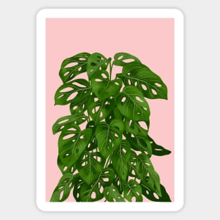 Modern House plant in pink 9, Abstract Plant Art Sticker